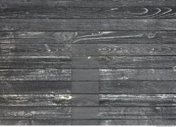 Bare Planks Wood